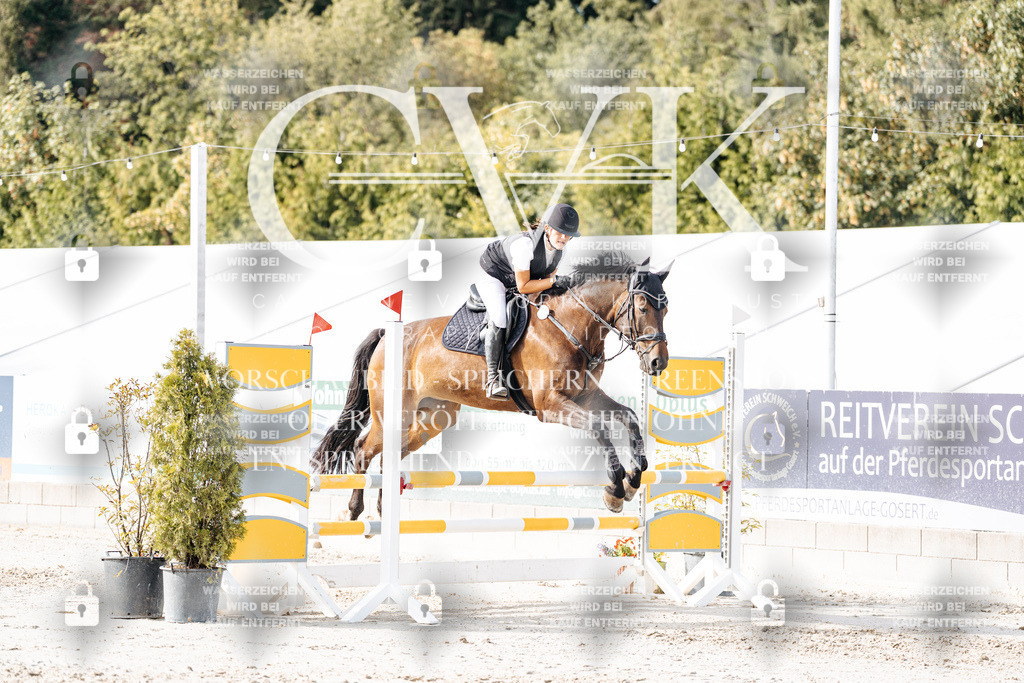 CK905850 | Turnierfotografie Pferdefotografie Trier Rheinland-Pfalz Pferdesport Reitsport Tierfotografie Sportfotografie Pferdevideo Pferdevideografie Equestrianvideography equestrianphotography  - Realisiert mit Pictrs.com