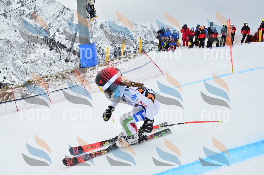 _ELE3226 | holidayphoto