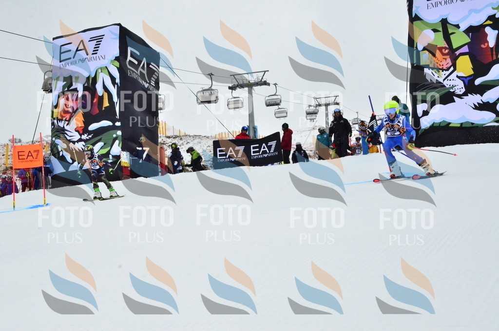 _ELE3394 | holidayphoto