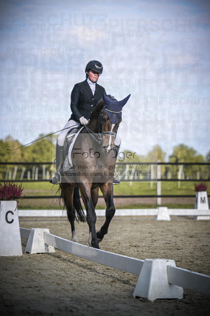 DOS_4836 | Entdecke hochwertige Reitturnierfotos von Foto Oger. Professionell, emotional und authentisch – jetzt Lieblingsmomente im Shop bestellen.Deutschlandweite Turnierfotografie. - Realisiert mit Pictrs.com