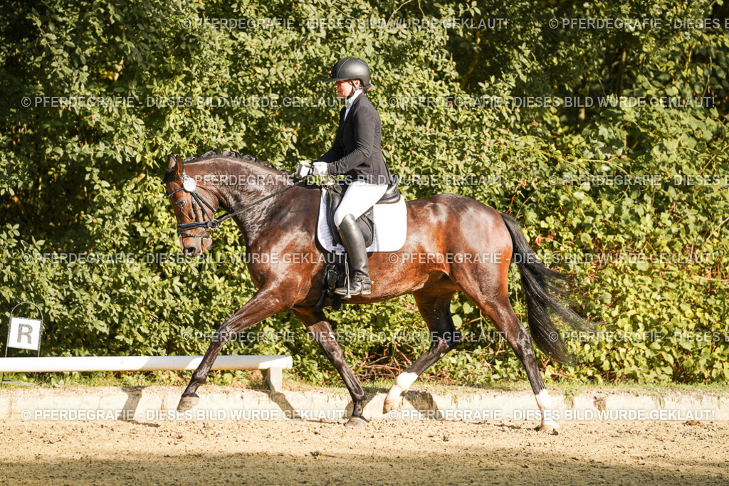 DSC05440 | Pferdegrafie