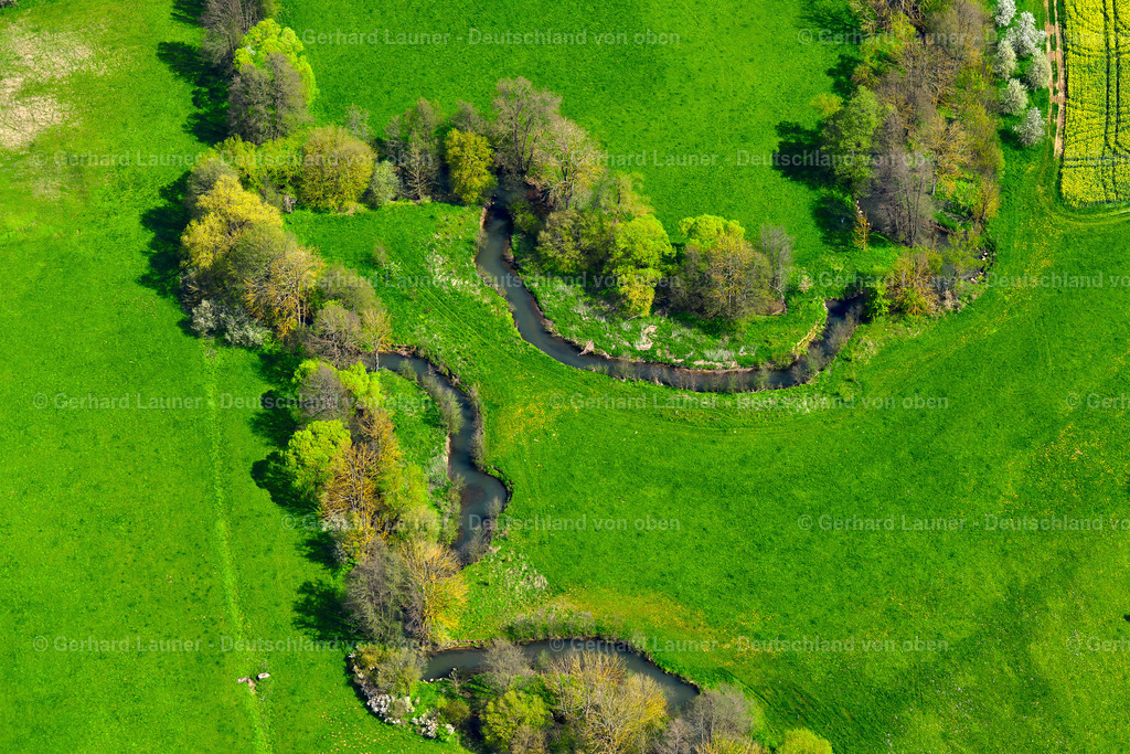 3600171 | Baumstrukturen a.d.Saale bei Saal a.d.Saale
