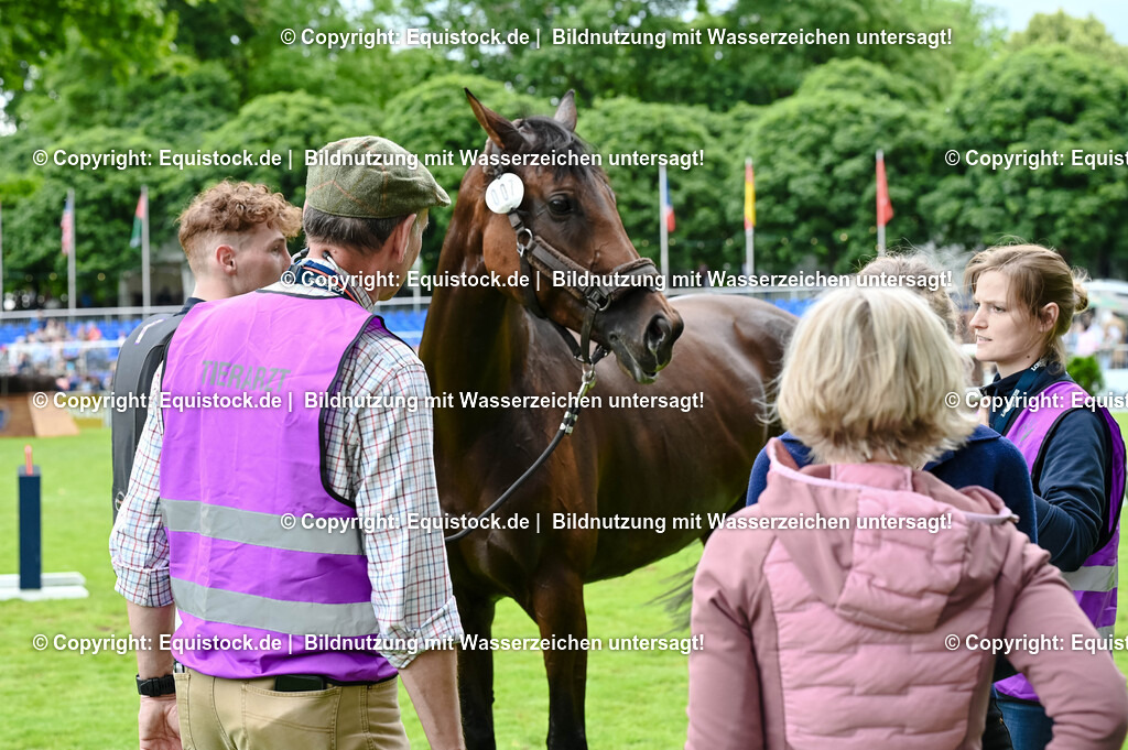 20250607_27_CCI4_Gelände_0333 | Foto: Thomas Hartig