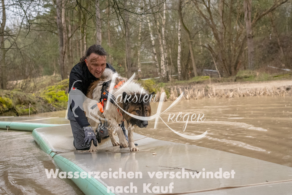 1057_ZZ93819-Bearbeitet | kk-dogfotos