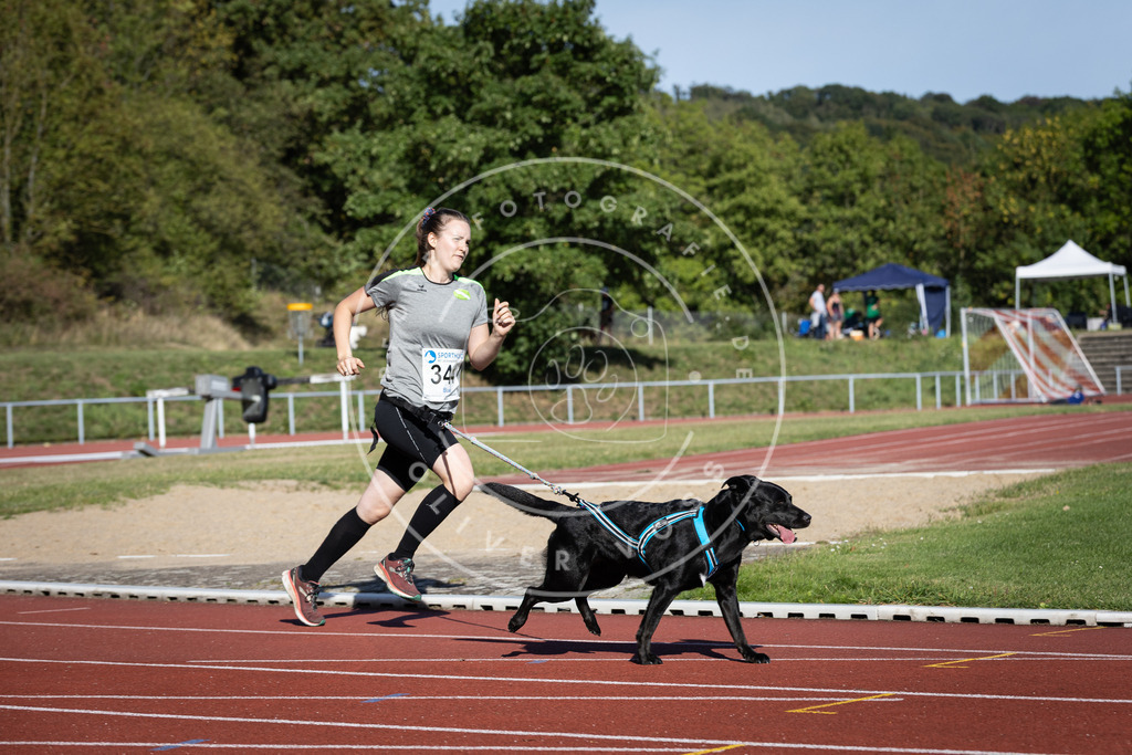 Pfotenfotografie_DV3A8664 | Hundefotografie, Tierfotograf, Pfotenfotografie, Fotoshooting Hund, Hunde Portrait, Hundesport, Hundeportraits, Heideshooting, Hunde, Sportfotograf, Hundefotograf, Turnierhundsport, THS,  - Realisiert mit Pictrs.com