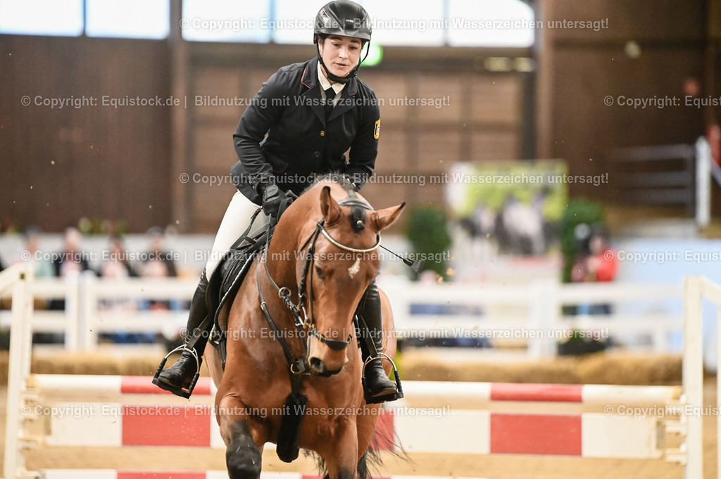 20260307_Hengstvorstellung-Marbach_0026 | equistock