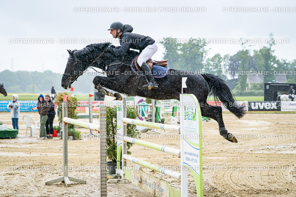 DSC04397 | Pferdegrafie