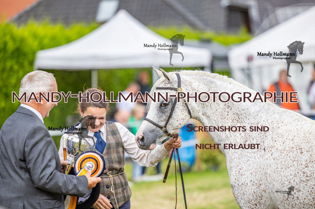 3_MG_3636 (3057) | mandyhollmannphotographie