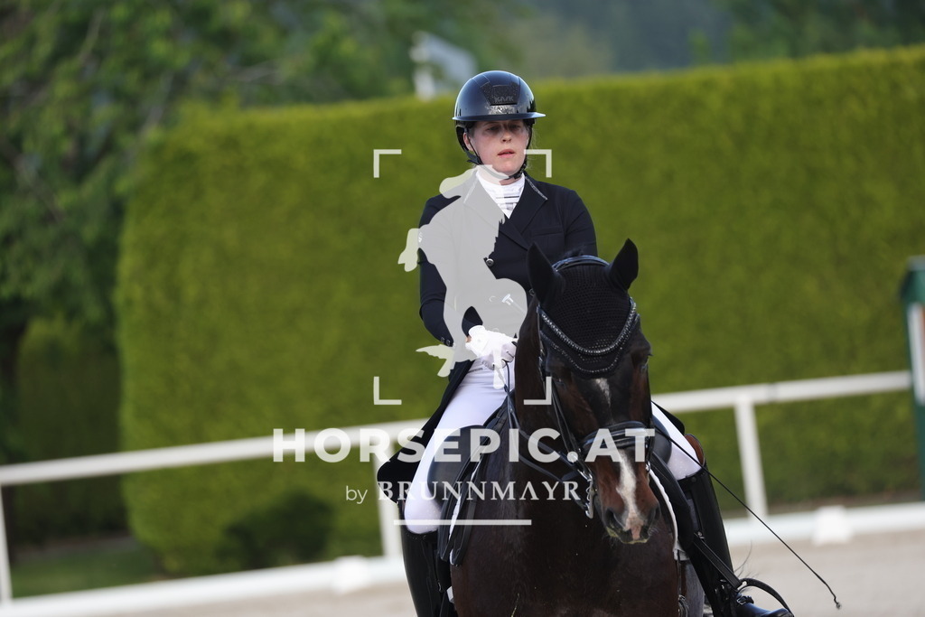 0P6A3730 | Willkommen bei Brunnmayr - Design & Fotografie – Ihrem Spezialisten für Reitturniere und Pferdeveranstaltungen in Oberösterreich, Salzburg und Bayern! Seit über 17 Jahren sind wir leidenschaftlich dabei.