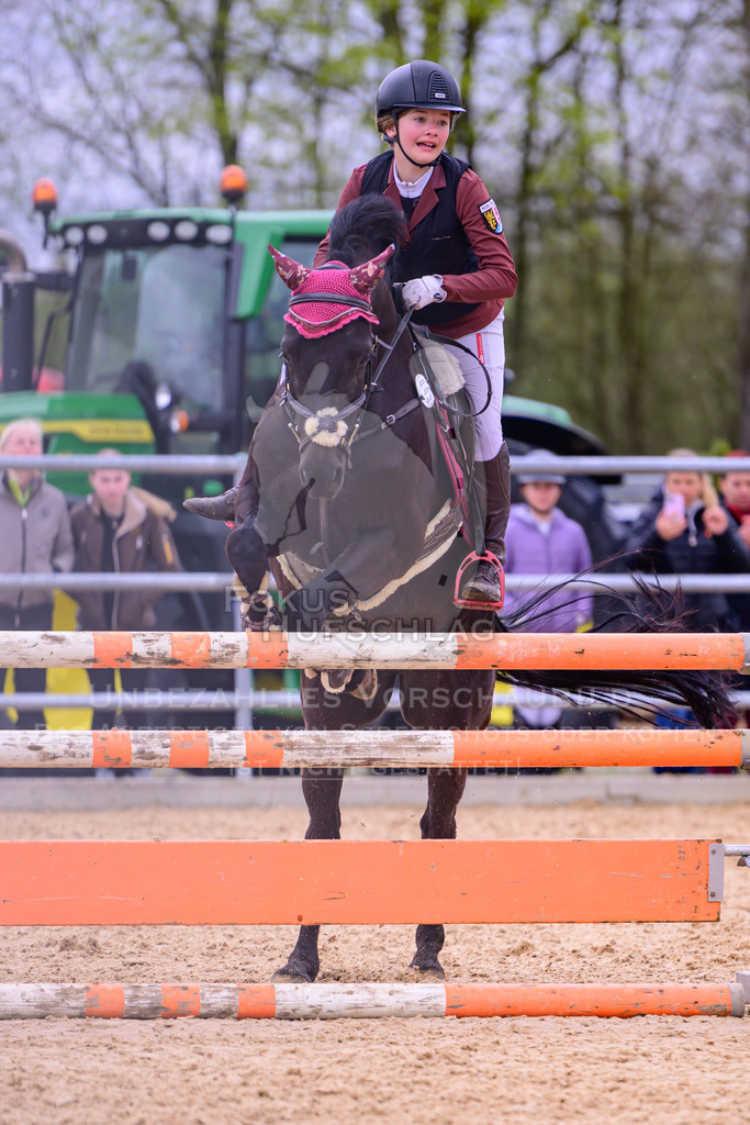 12042026-Mammendorf-Prfg39-0559 | Fokus Hufschlag Fotografie - Realisiert mit Pictrs.com