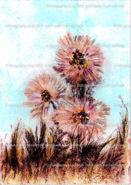 Asterngruß Variation 07 | Zeichnung von Vera Zschecked exclusiv auf titusgraphy.eu - Realisiert mit Pictrs.com