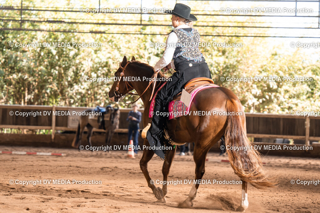 Erbach Tag 1-549 | dv-media-shop - Realisiert mit Pictrs.com