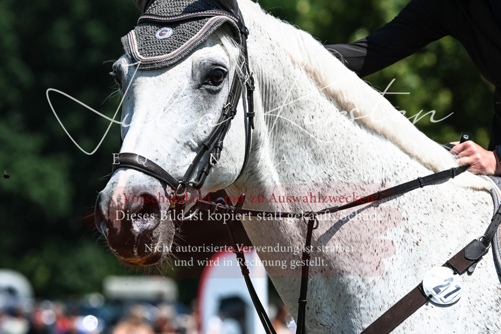 DSC_0248 | Pferde- und Turnierfotografie in Westsachsen. Pferdeportraits, Auftragszeichnungen und intuitive Kunst.