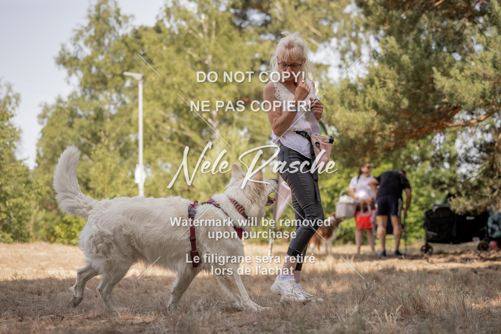 nelerasche_soDD2_211 | nelerasche