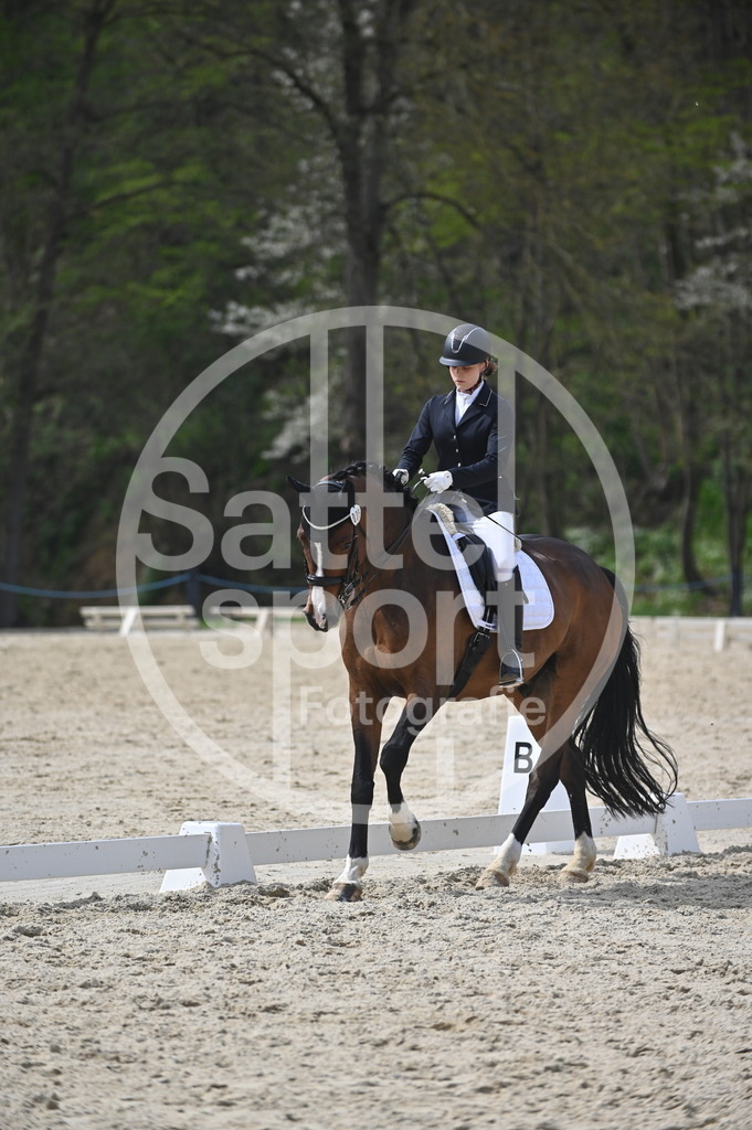 DSC_4200 | sattelsport - Realisiert mit Pictrs.com