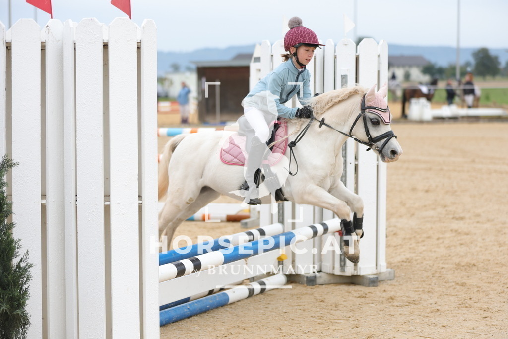0P6A2665 | Willkommen bei Brunnmayr - Design & Fotografie – Ihrem Spezialisten für Reitturniere und Pferdeveranstaltungen in Oberösterreich, Salzburg und Bayern! Seit über 17 Jahren sind wir leidenschaftlich dabei.