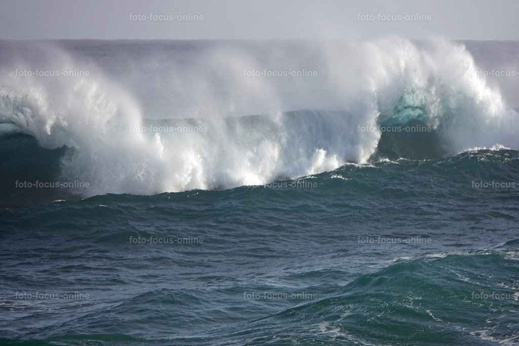 Wild Waves | Wild Waves Atlantic