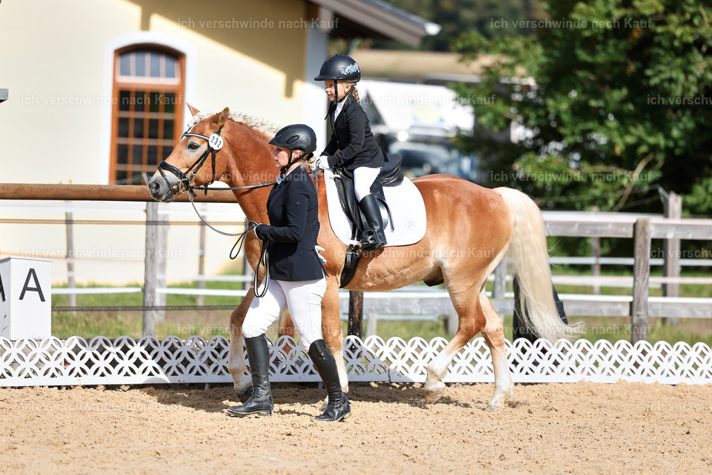 01--Ponyführzügel -StoibPH-6660 | working equitationturnier fotograf videograf stoibphotography marixx film working equitation deutschland reitsport turnierfotografie eventfotografie equestrian events