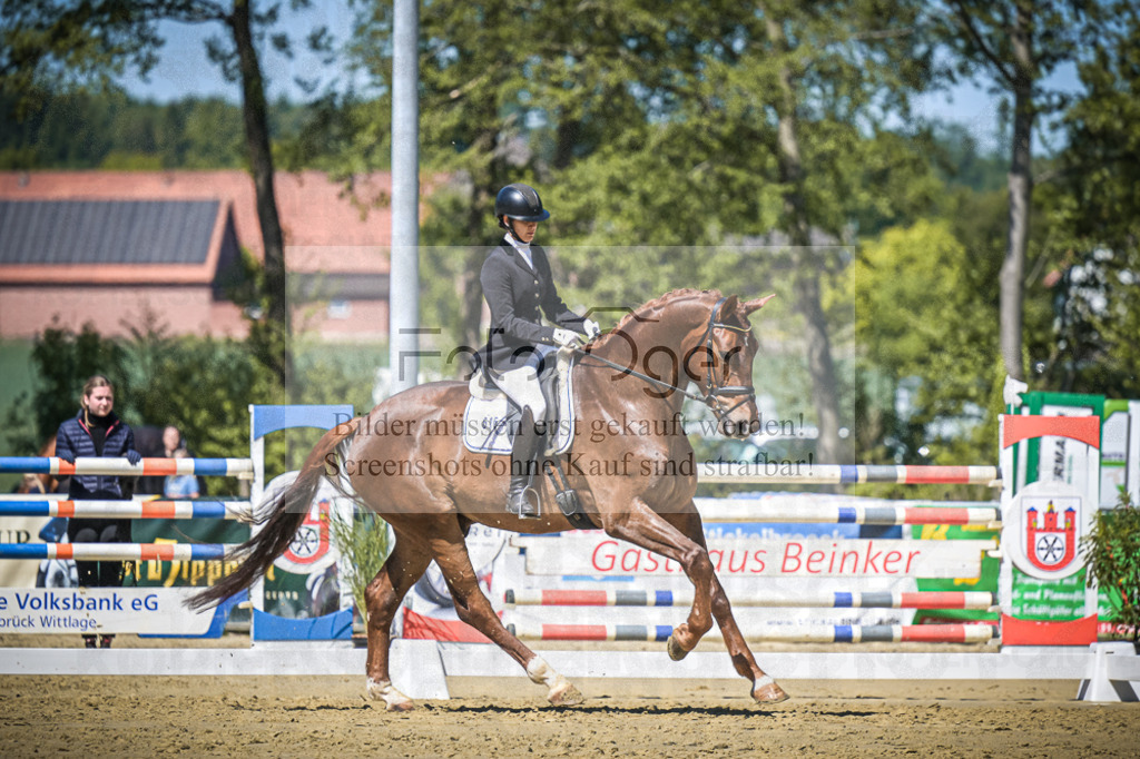DOS_6514 | Entdecke hochwertige Reitturnierfotos von Foto Oger. Professionell, emotional und authentisch – jetzt Lieblingsmomente im Shop bestellen.Deutschlandweite Turnierfotografie. - Realisiert mit Pictrs.com