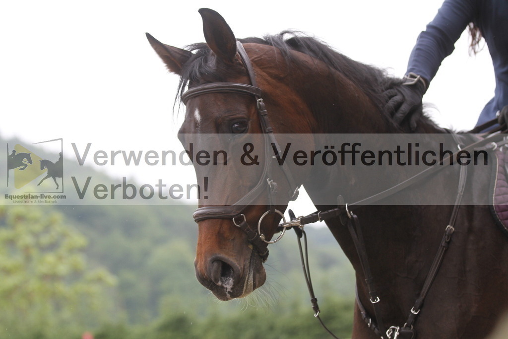 _MG_8177 | equestrian-live-com