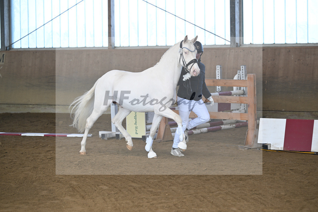 Kat-Nr. 5 EMR Gamarelli v. Giotto_Rupp_49250126 | hf-fotografie - Realisiert mit Pictrs.com