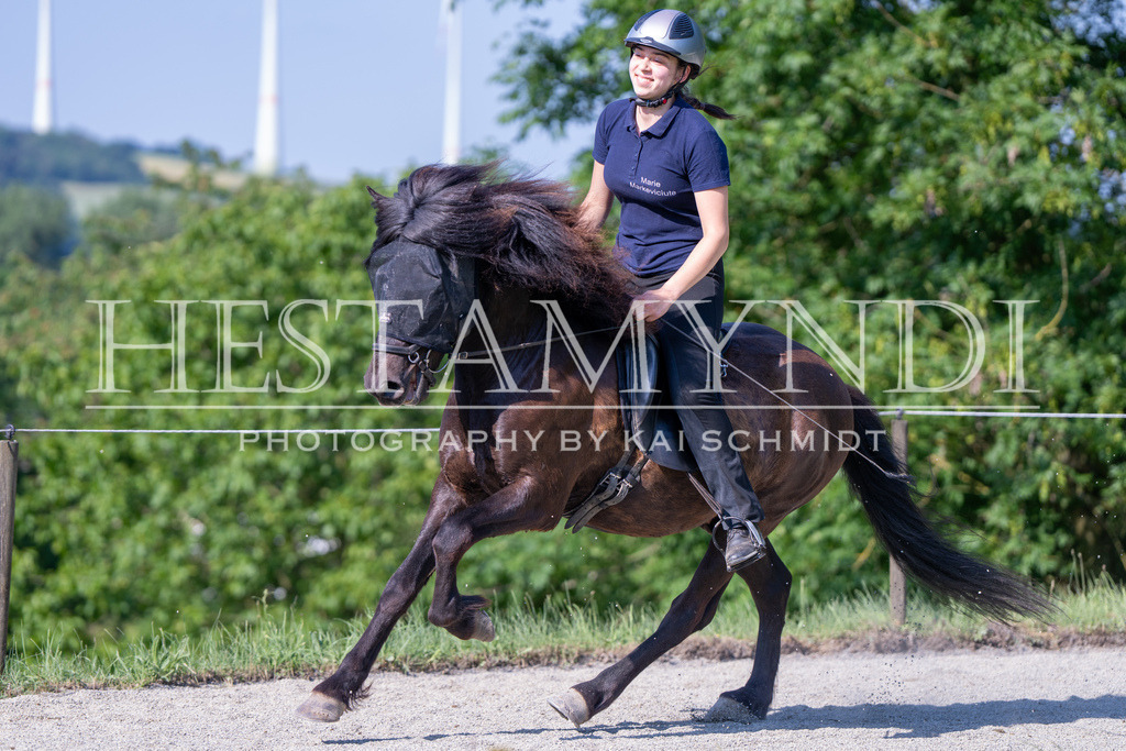 KAI07004 | Ihr sucht einen Fotografen für eure nächste OSI? Ich begleite auch euer Turnier für Islandpferde fotografisch.  - Realisiert mit Pictrs.com
