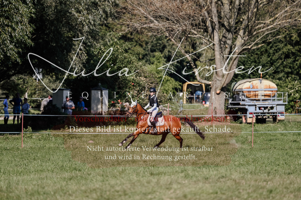 DSC_3467 | Pferde- und Turnierfotografie in Westsachsen. Pferdeportraits, Auftragszeichnungen und intuitive Kunst.