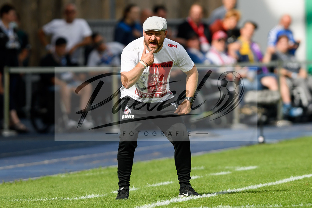 JENKOE20210808_036 | Fussball, Herren: Trainer Steffen Baumgart (1. FC Koeln) schaut beim Spiel der 1. Runde im DFB-Pokal zwischen FC Carl Zeiss Jena und 1. FC Koeln im Ernst-Abbe-Sportfeld am 08.08.2021 in Jena, Deutschland.DFB / DFL REGULATIONS PROHIBIT ANY USE OF PHOTOGRAPHS AS IMAGE SEQUENCES AND/OR QUASI-VIDEO. - Realisiert mit Pictrs.com