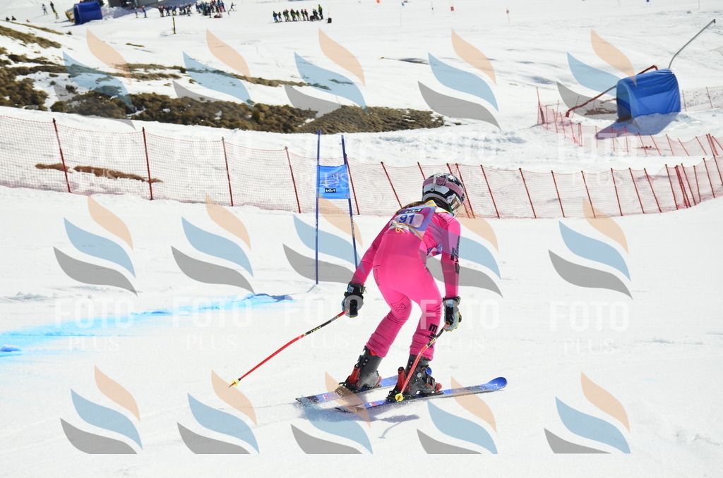 _ELE0502 | holidayphoto