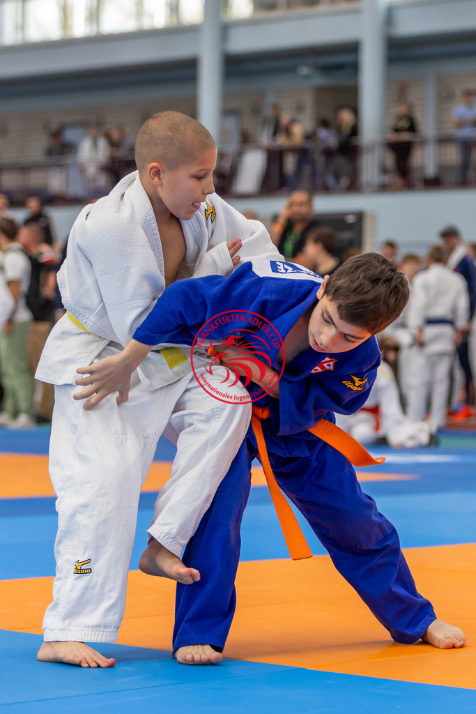 Internationaler Adler Cup 2024 | Foto vom Internationalen Adler Cup Judo Turnier im Sport- und Freizeitzentrum Kalbach im Oktober 2024 - Realisiert mit Pictrs.com
