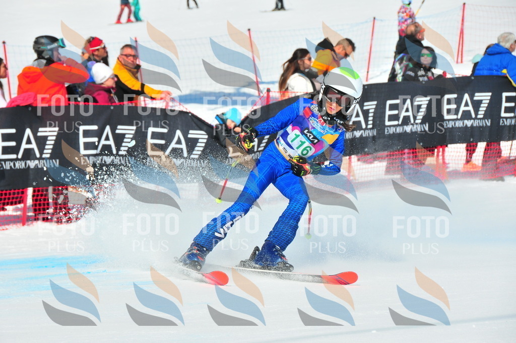 DSC_0898 | holidayphoto