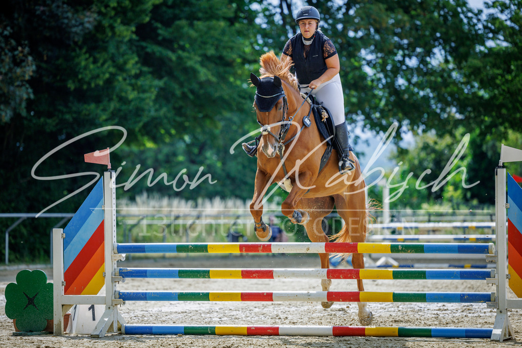 20260705-_3LI4254 | Tierfotografie Pferde, Hunde, Katzen, Haustiere.
Turnierfotografie Reitturniere, Reiten, Springreiten, Dressur in Hanau, dem Main-Kinzig-Kreis und dem Rhein-Main- Gebiet um Frankfurt