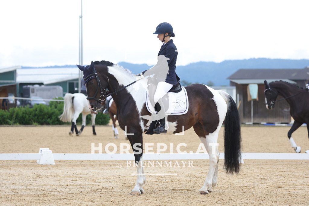 0P6A8053 | Willkommen bei Brunnmayr - Design & Fotografie – Ihrem Spezialisten für Reitturniere und Pferdeveranstaltungen in Oberösterreich, Salzburg und Bayern! Seit über 17 Jahren sind wir leidenschaftlich dabei.