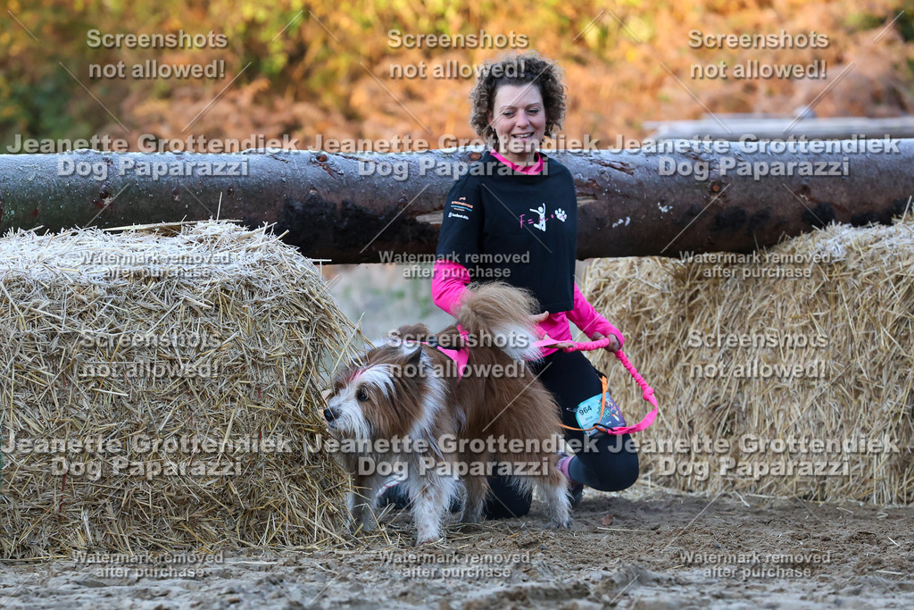 Dog Paparazzi - Strongdog 10-25-399 | Dog Paparazzi Jeanette Grottendiek Fotografie & Videografie - Realisiert mit Pictrs.com