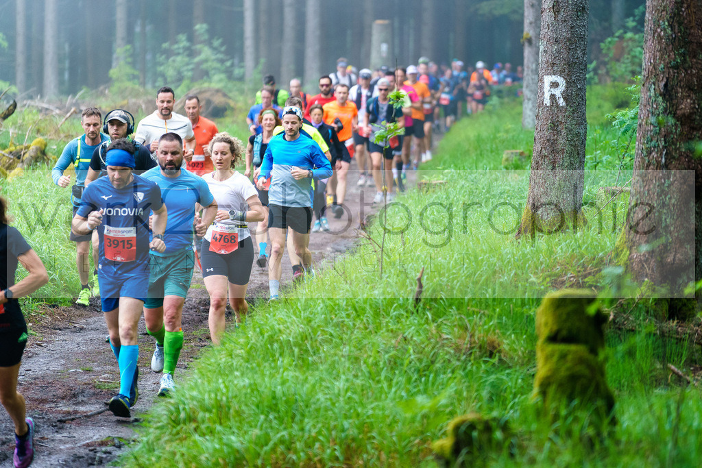 Rennsteiglauf Marathon 2024 | 25. Mai 2024 - 42,2 km von Neuhaus nach Schmiedefeld