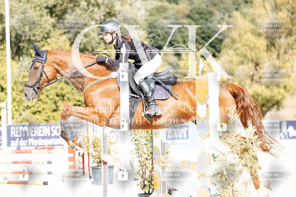 CK909027 | Turnierfotografie Pferdefotografie Trier Rheinland-Pfalz Pferdesport Reitsport Tierfotografie Sportfotografie Pferdevideo Pferdevideografie Equestrianvideography equestrianphotography  - Realisiert mit Pictrs.com