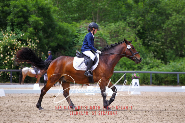 DKP46292 | Turnierfotos kaufen im Webshop von Daniel Kuhl Photography – entdecke professionelle Reitsportfotos aus Turnieren & Events. Hochwertige Turnierbilder online bestellen & sichern. Jetzt Fotos von Reitsportturnieren kaufen!