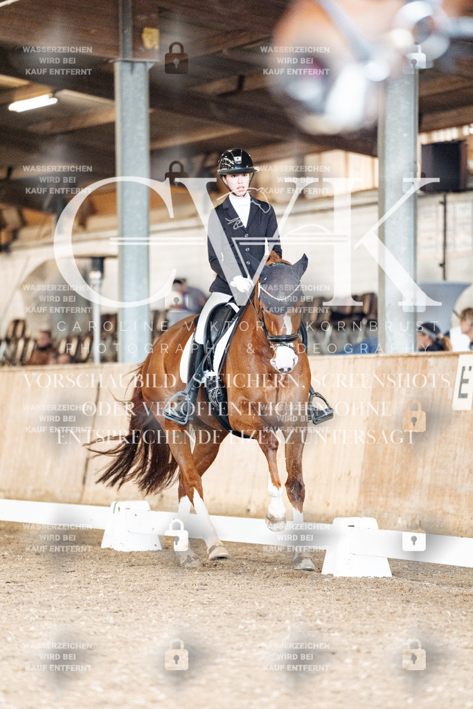 CK901308 | Turnierfotografie Pferdefotografie Trier Rheinland-Pfalz Pferdesport Reitsport Tierfotografie Sportfotografie Pferdevideo Pferdevideografie Equestrianvideography equestrianphotography  - Realisiert mit Pictrs.com