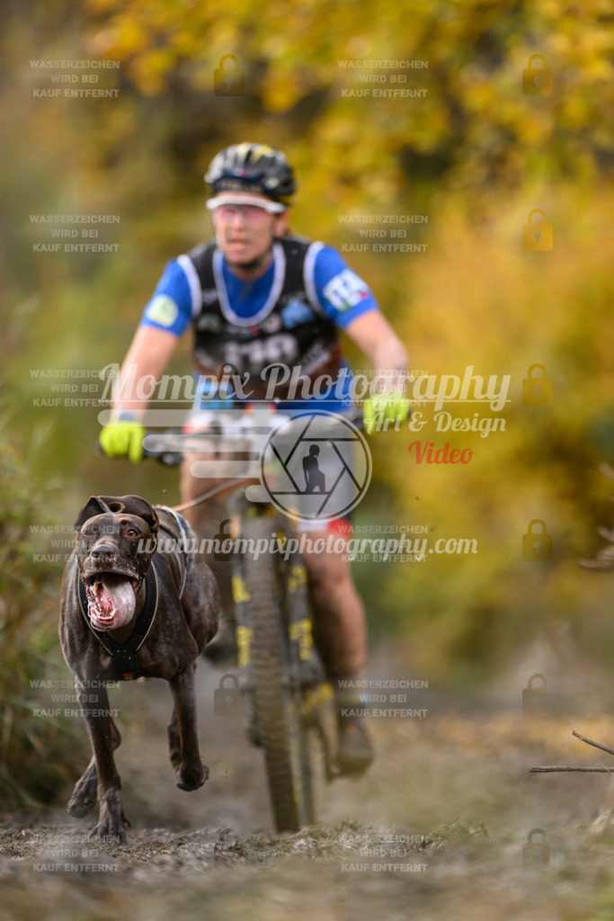 MompixPhotography_ICF_WC_2024_SA_Bike_-233 | PayLife