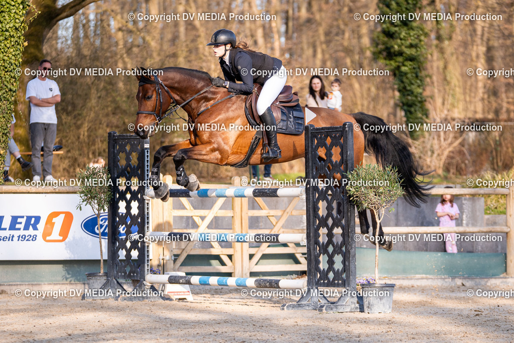 Kranichstein Tag 2-1150 | dv-media-shop - Realisiert mit Pictrs.com