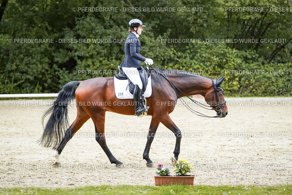 DSC07395 | Pferdegrafie