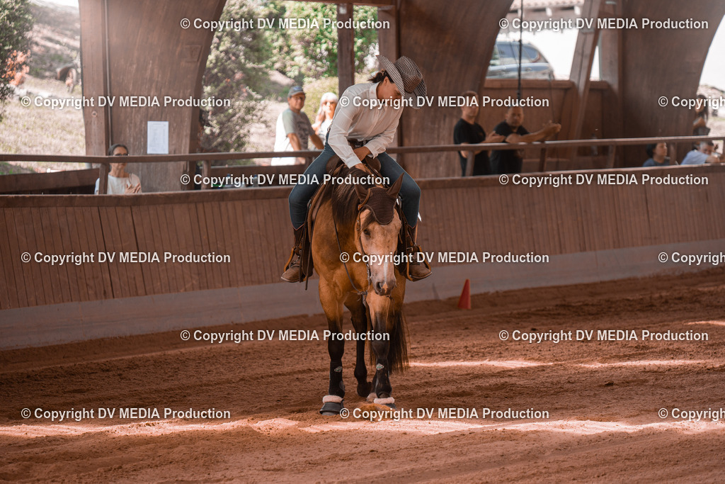 NE201003 | dv-media-shop - Realisiert mit Pictrs.com