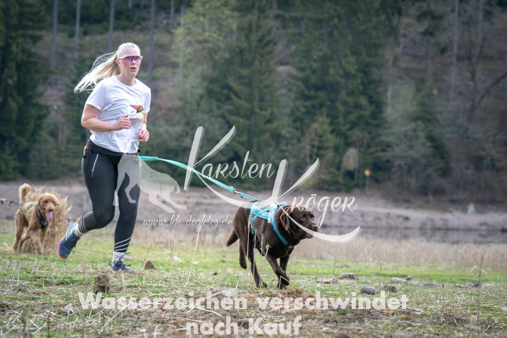 1819_ZZ96043 | kk-dogfotos