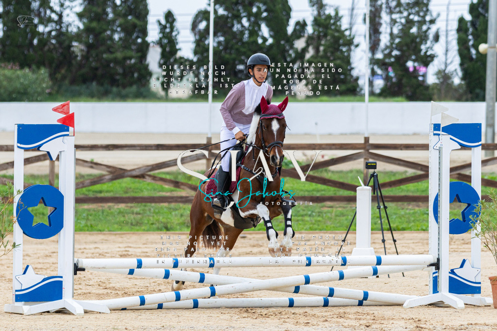 IMG_1321 | s-jay-photography - Realisiert mit Pictrs.com