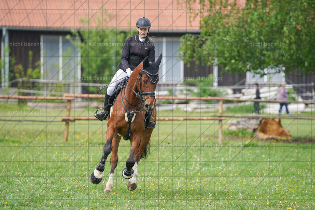 20240509-FAH02178 | Turnierbilder der Turnierfotografen Bayern, Pferdesport Fotografie, Reitsportbilder, Turnier Landberg am Lech, Turnierbilder bayern, Fotoagentur Herrmann