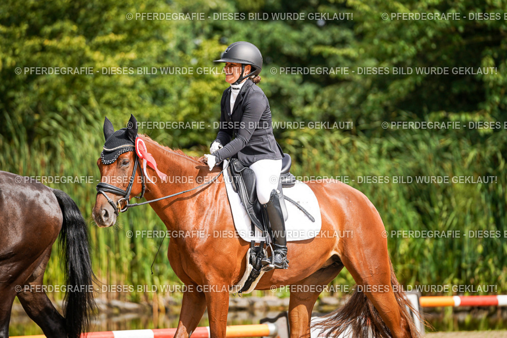 DSC02453 | Pferdegrafie