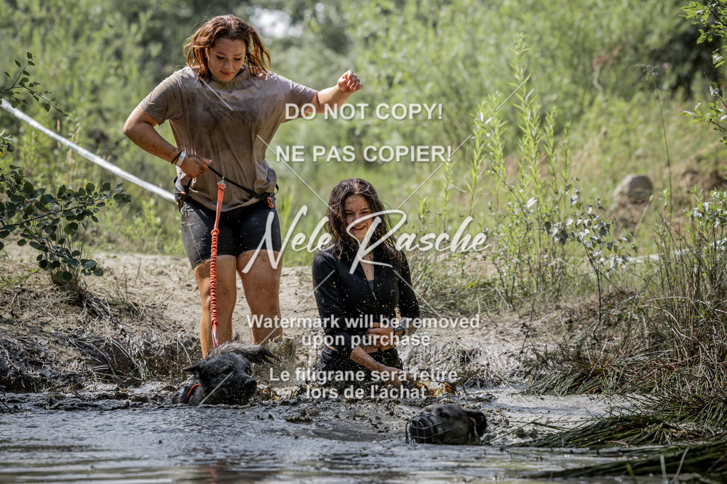 nelerasche_so1030-1100_311 | nelerasche