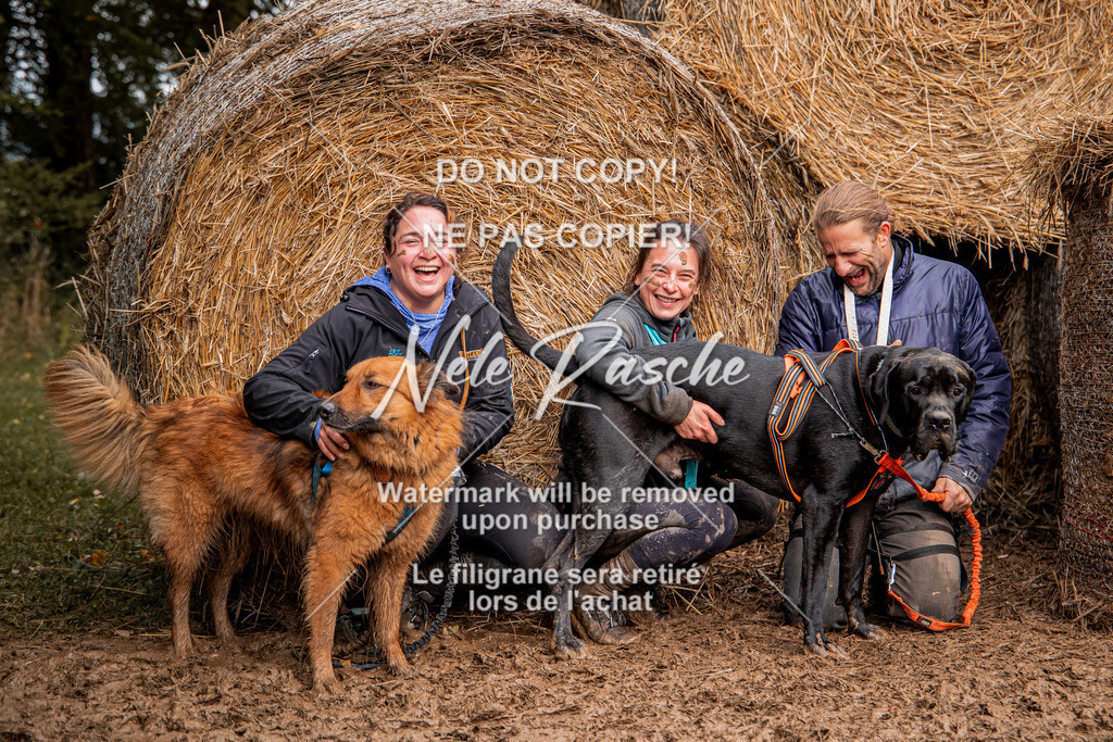 nelerasche_Hunsrück_So09-11_332 | nelerasche