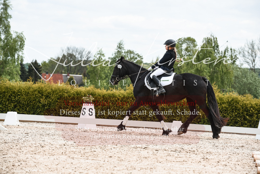 20230518_JK-Röhrsdorf-10-758 | Pferde- und Turnierfotografie in Westsachsen. Pferdeportraits, Auftragszeichnungen und intuitive Kunst.