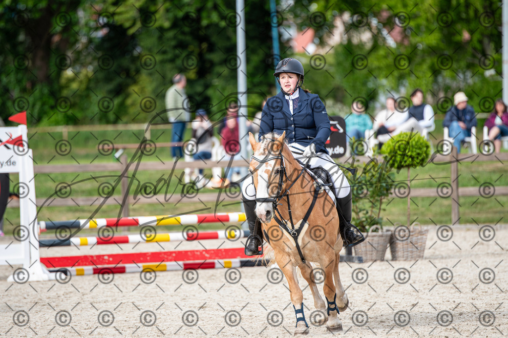 KPT_6690-2 | andre_photographic